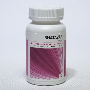 Shatavari (Asparagus racemosus)