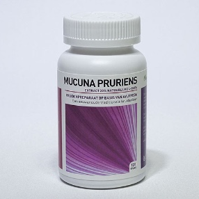 Mucuna pruriens