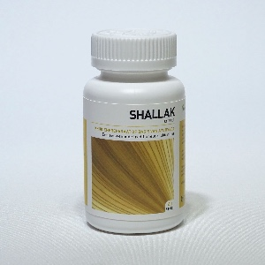 Shallak (Boswellia serrata)