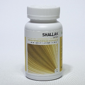 Shallak (Boswellia serrata)