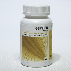 Gember (Zingiber officinale)